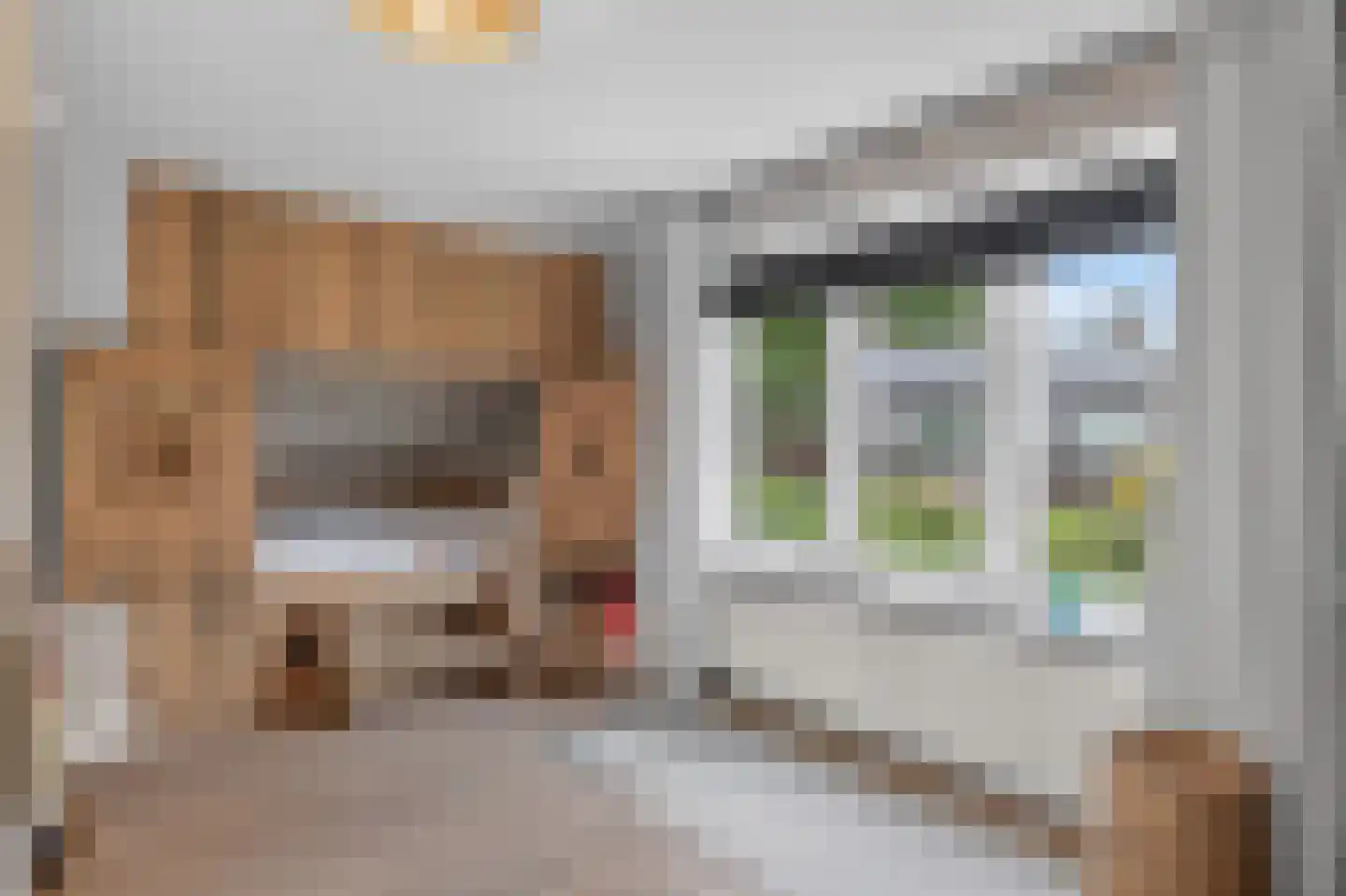 Westenenkerzijweg 10 Apeldoorn thumbnail 24