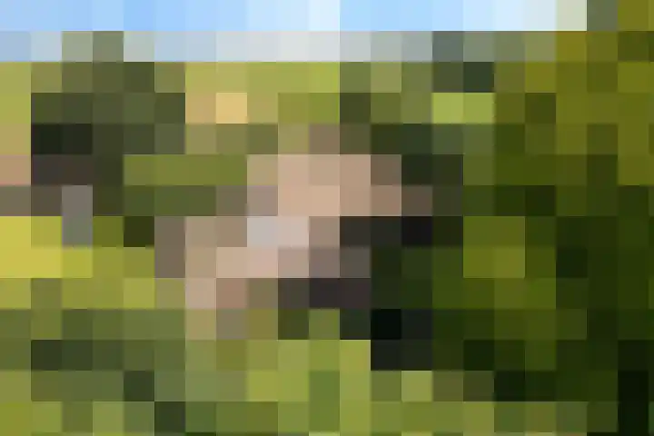 Westenesscherstraat 62 Emmen