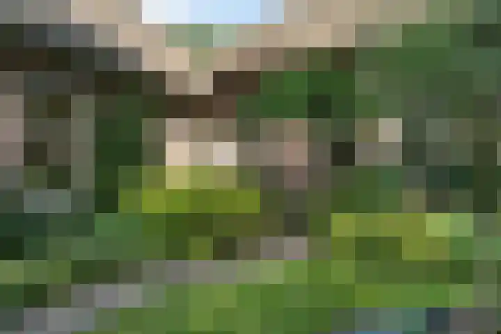 Westenesscherstraat 62 Emmen thumbnail 86