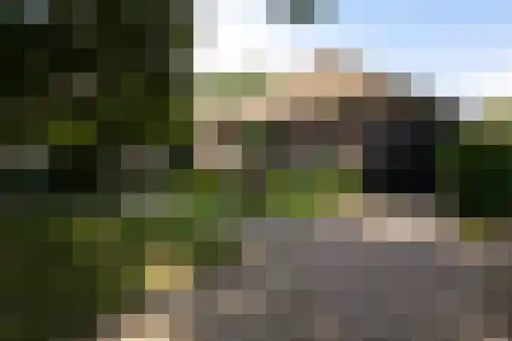 Westenesscherstraat 62 Emmen thumbnail 87