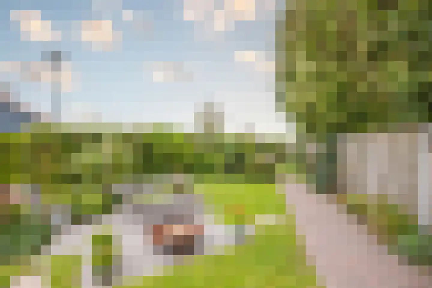 Westeneynde 11 Westervoort thumbnail 26