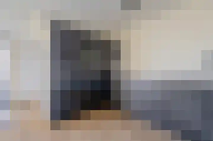 Westenrijk 6 Zuidland thumbnail 11