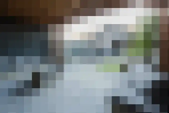 Westenrijk 6 Zuidland thumbnail 17