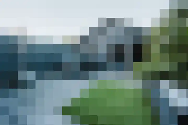 Westenrijk 6 Zuidland thumbnail 18