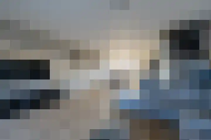 Westenrijk 6 Zuidland thumbnail 20