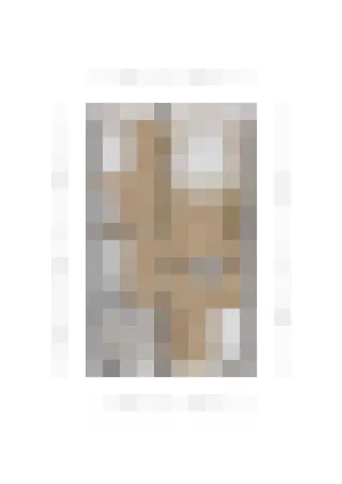 Westenrijk 6 Zuidland thumbnail 21