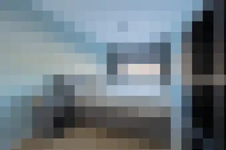 Westenrijk 6 Zuidland thumbnail 22