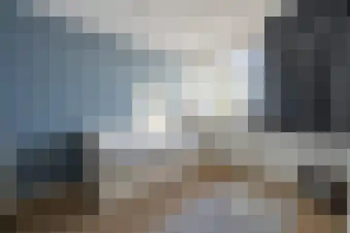 Westenrijk 6 Zuidland thumbnail 27