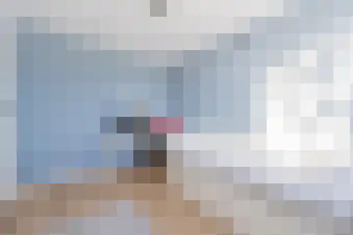 Westenrijk 6 Zuidland thumbnail 28