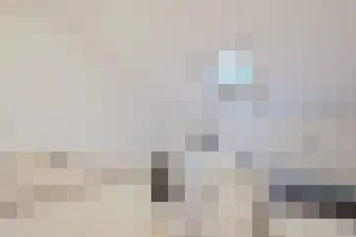 Westenrijk 6 Zuidland thumbnail 30