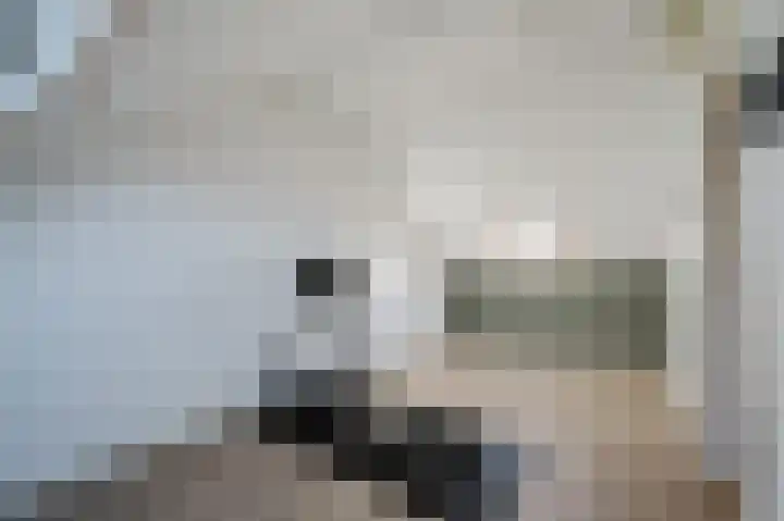 Westenrijk 6 Zuidland thumbnail 31