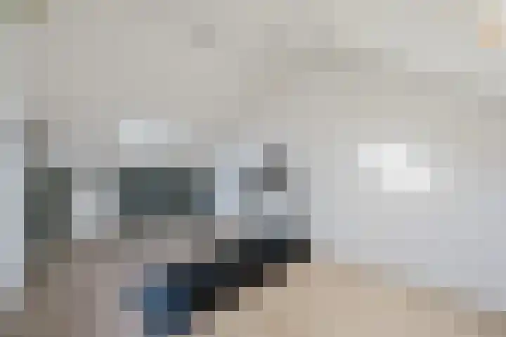 Westenrijk 6 Zuidland thumbnail 32
