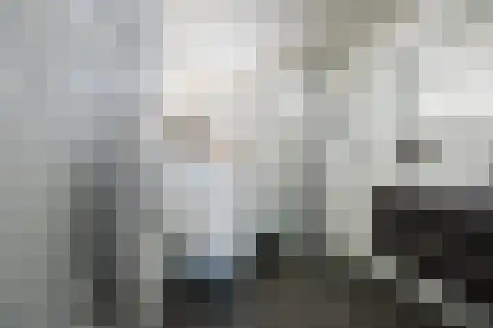 Westenrijk 6 Zuidland thumbnail 4
