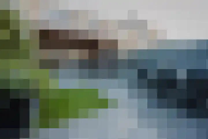 Westenrijk 6 Zuidland thumbnail 5