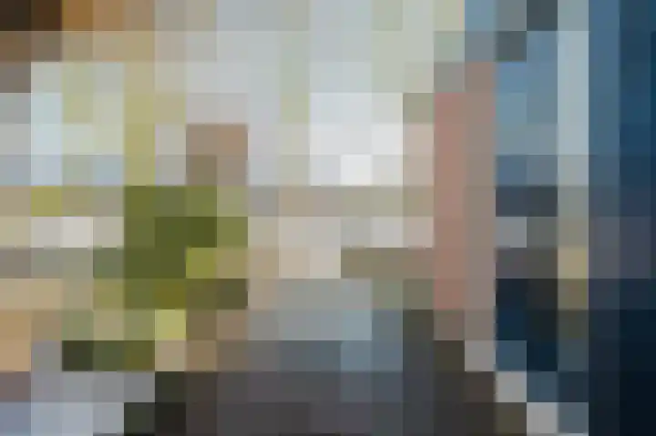 Westenrijk 6 Zuidland thumbnail 7