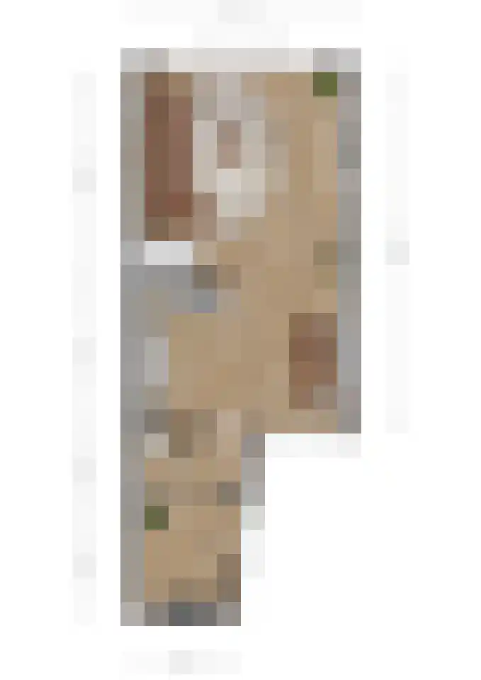 Westenrijk 6 Zuidland thumbnail 8