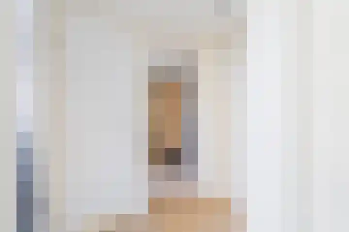 Westenrijk 6 Zuidland thumbnail 9