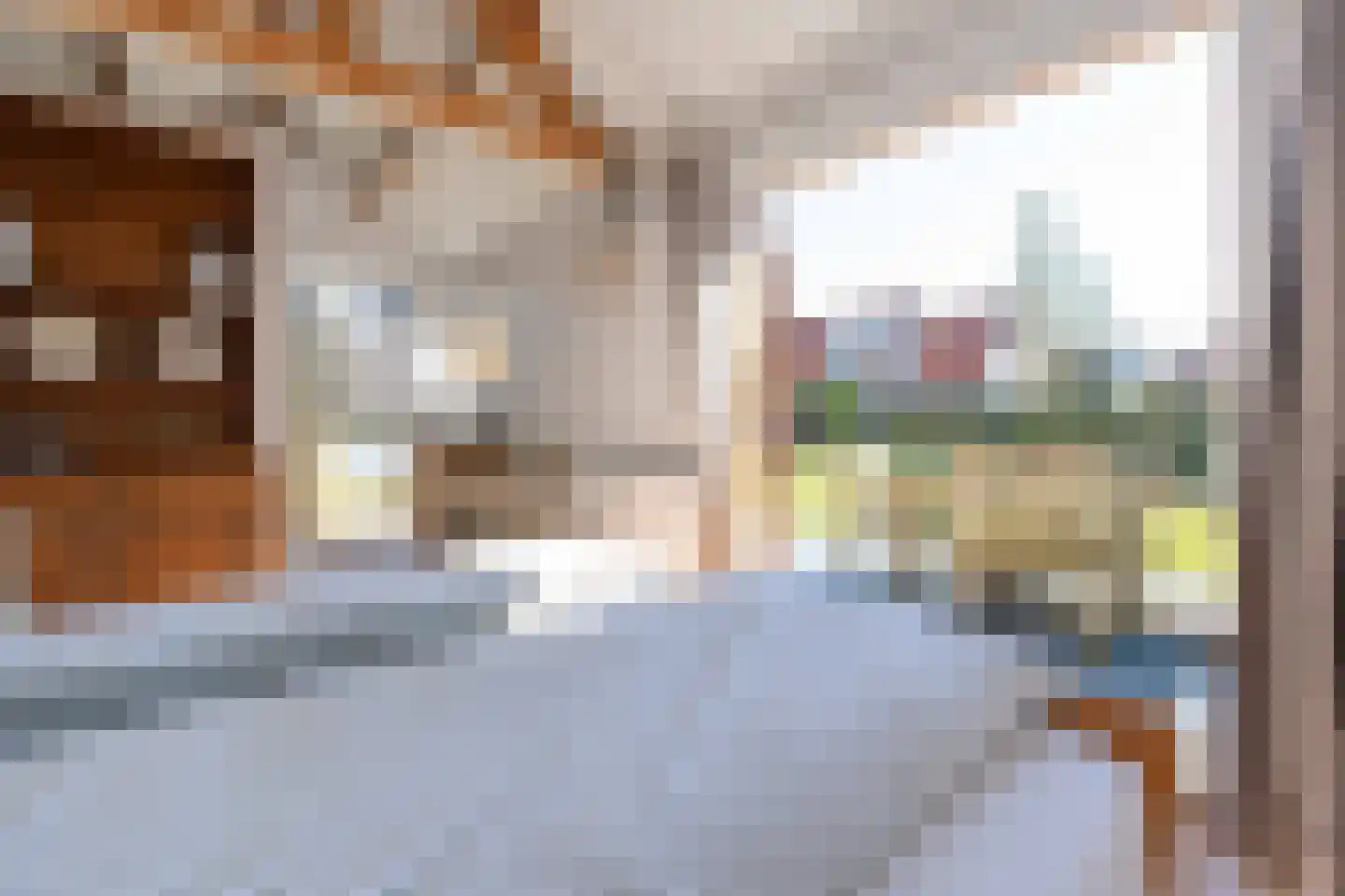 Westenschouwenseweg 6 Burgh-Haamstede thumbnail 34