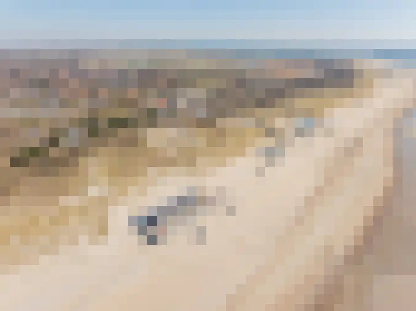 Westenschouwenseweg 6 Burgh-Haamstede thumbnail 39