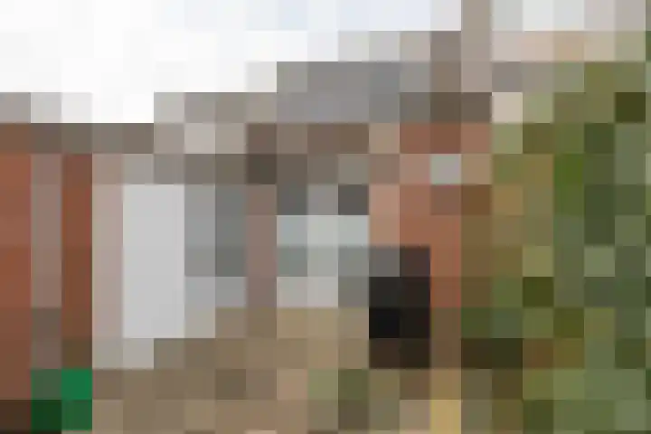 Wester Badstraat 10 Groningen thumbnail 4