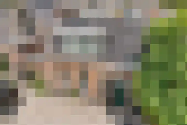 Wester Badstraat 2 Groningen thumbnail 52