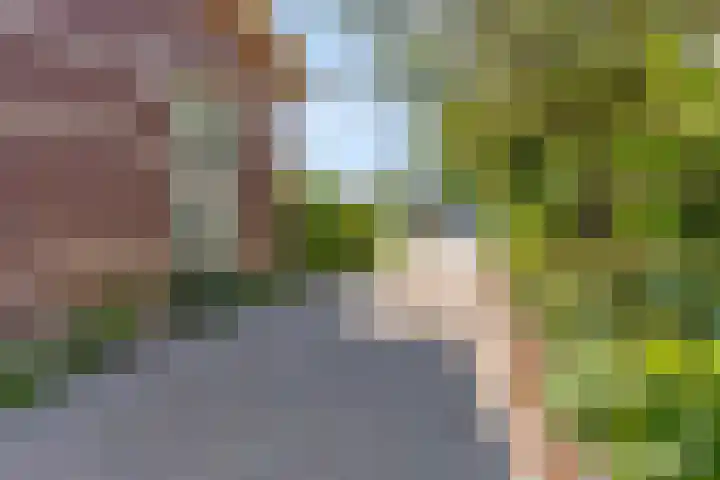 Wester Badstraat 47 Groningen thumbnail 13