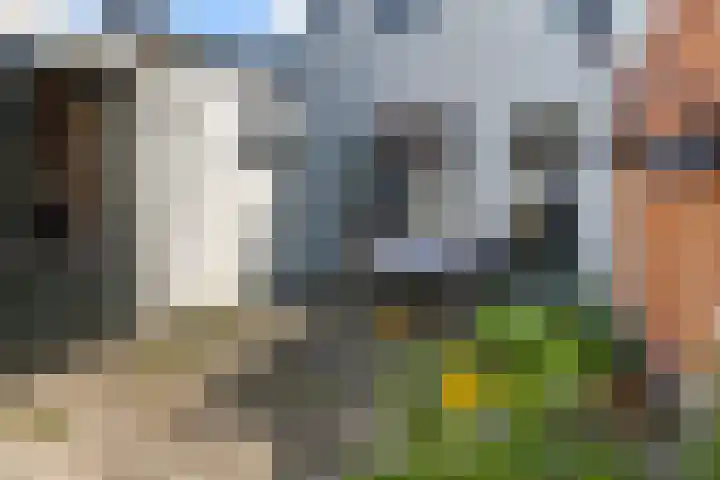 Wester Badstraat 47 Groningen thumbnail 8