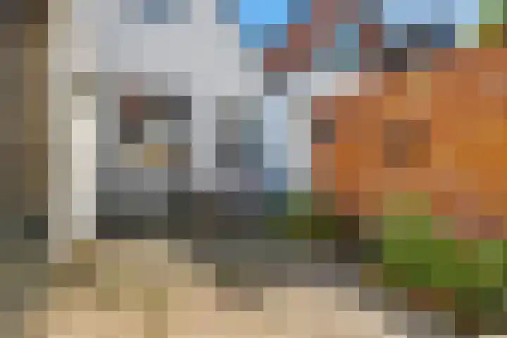 Wester Badstraat 47 Groningen thumbnail 9