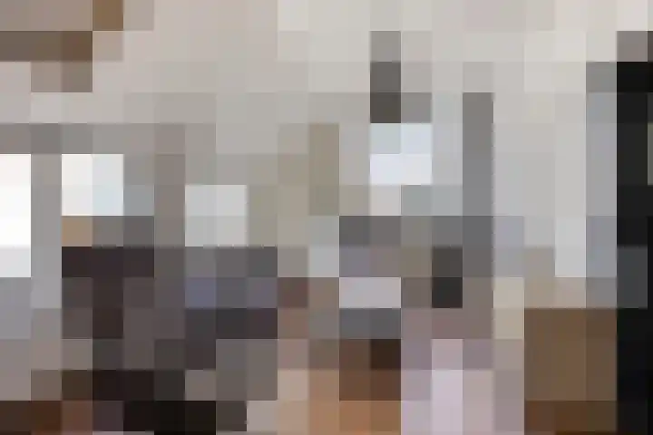 Wester Es 11 Appelscha thumbnail 10