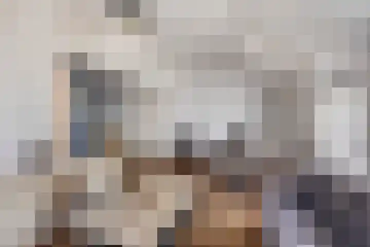 Wester Es 11 Appelscha thumbnail 11