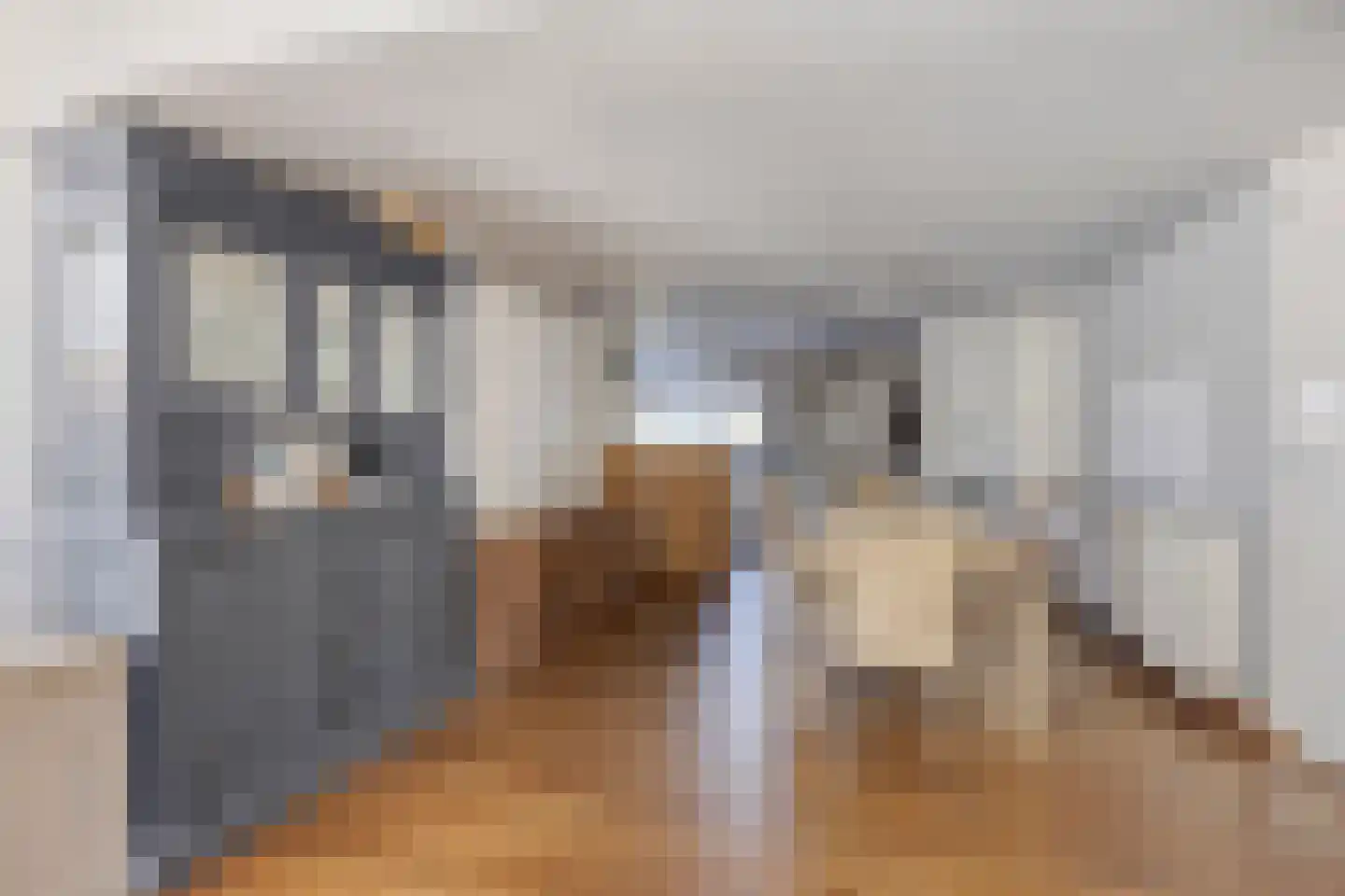 Wester Es 11 Appelscha thumbnail 11