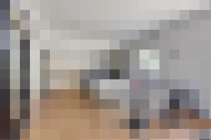 Wester Es 11 Appelscha thumbnail 14