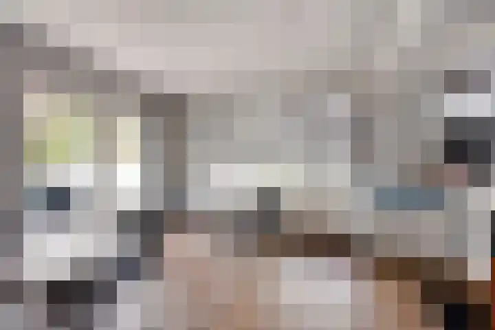 Wester Es 11 Appelscha thumbnail 15