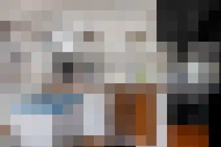 Wester Es 11 Appelscha thumbnail 17