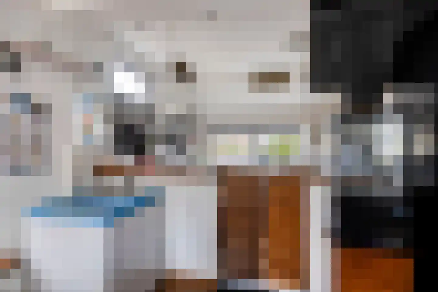 Wester Es 11 Appelscha thumbnail 19
