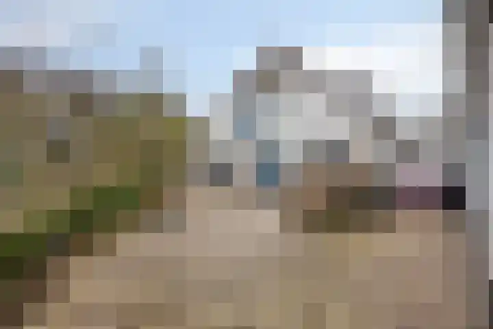 Wester Es 11 Appelscha foto 2