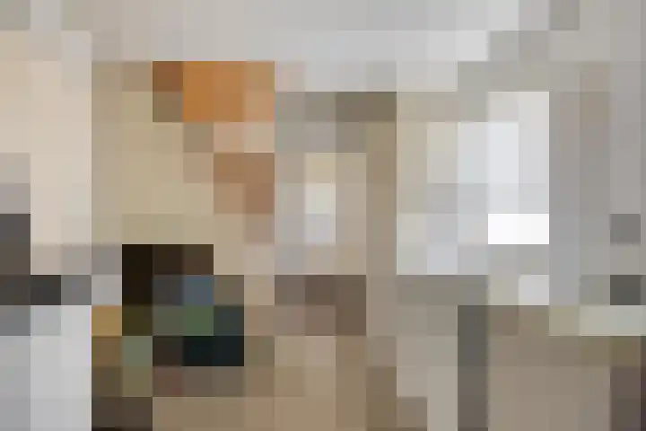 Wester Es 11 Appelscha thumbnail 20