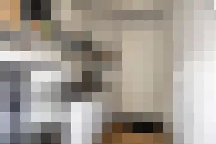 Wester Es 11 Appelscha thumbnail 22