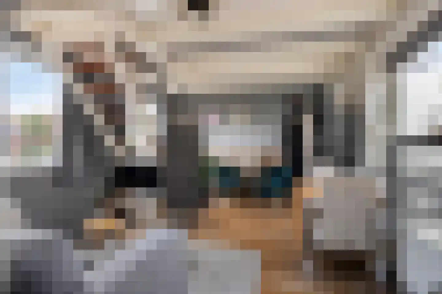 Wester Es 11 Appelscha thumbnail 23