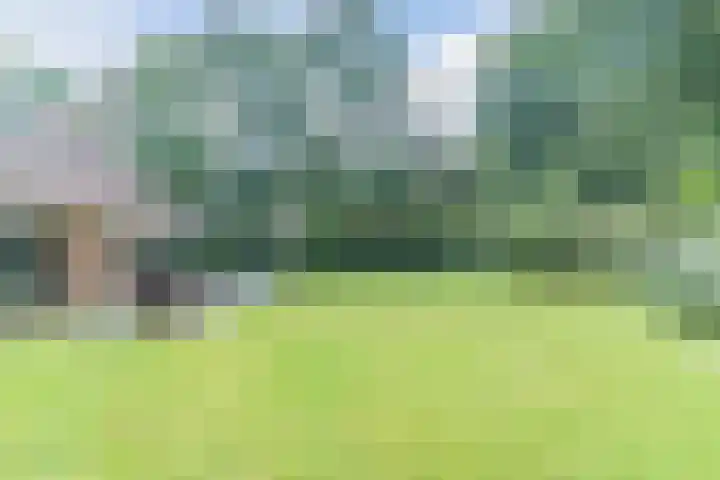 Wester Es 11 Appelscha thumbnail 24