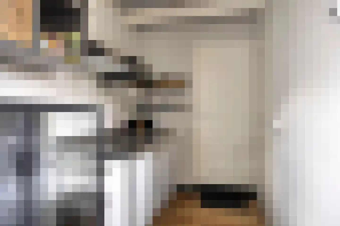 Wester Es 11 Appelscha thumbnail 24