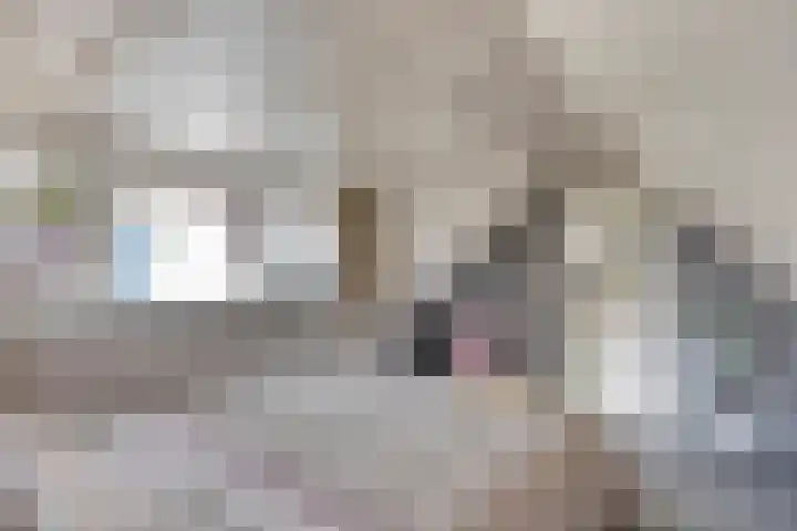 Wester Es 11 Appelscha thumbnail 28