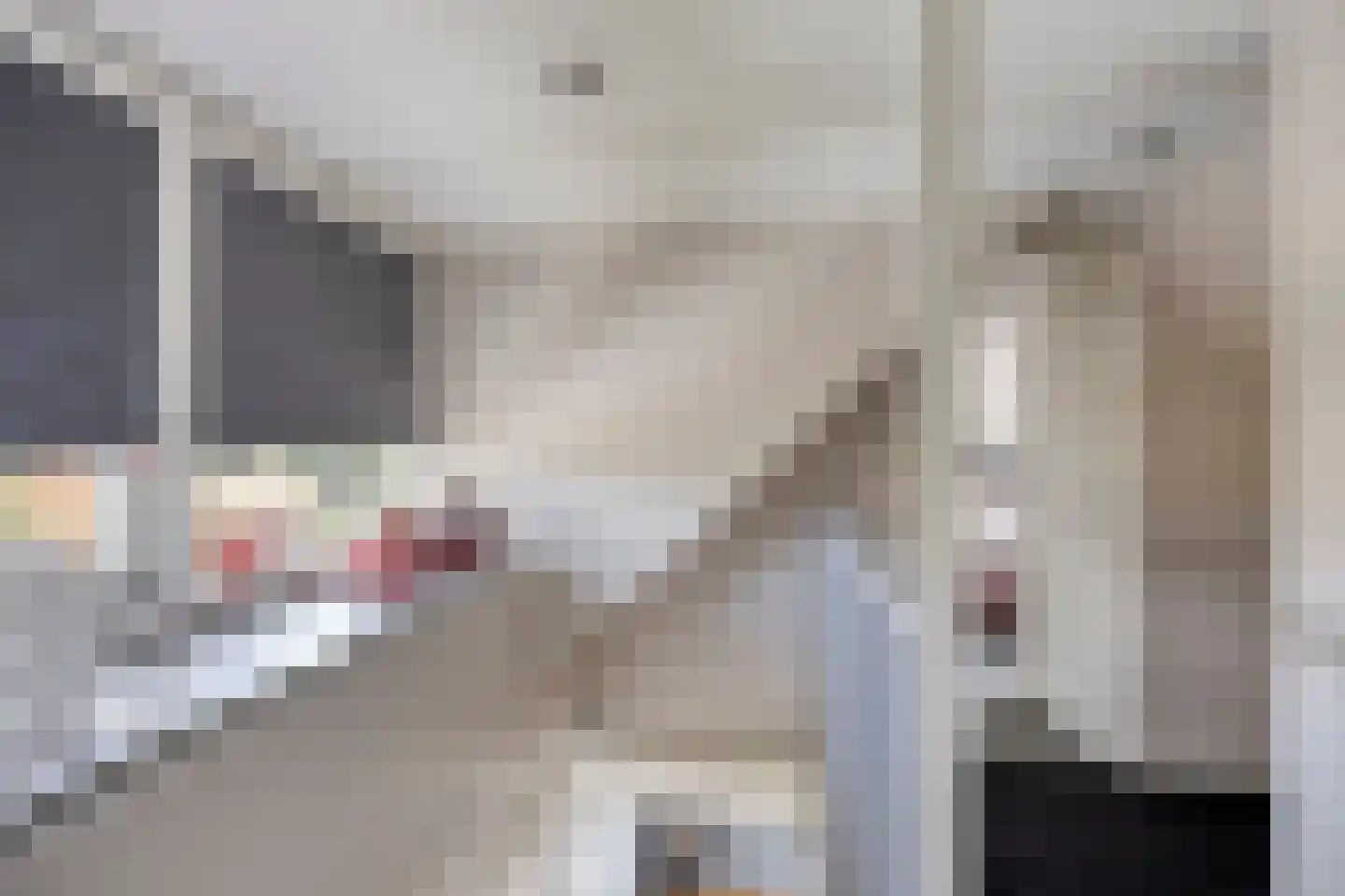Wester Es 11 Appelscha thumbnail 28