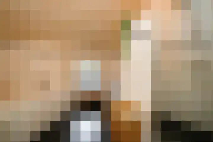 Wester Es 11 Appelscha thumbnail 29