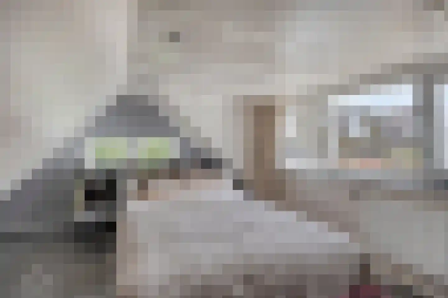 Wester Es 11 Appelscha thumbnail 29