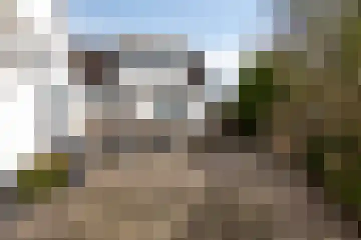 Wester Es 11 Appelscha foto 3