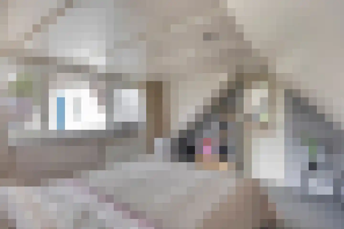 Wester Es 11 Appelscha thumbnail 30