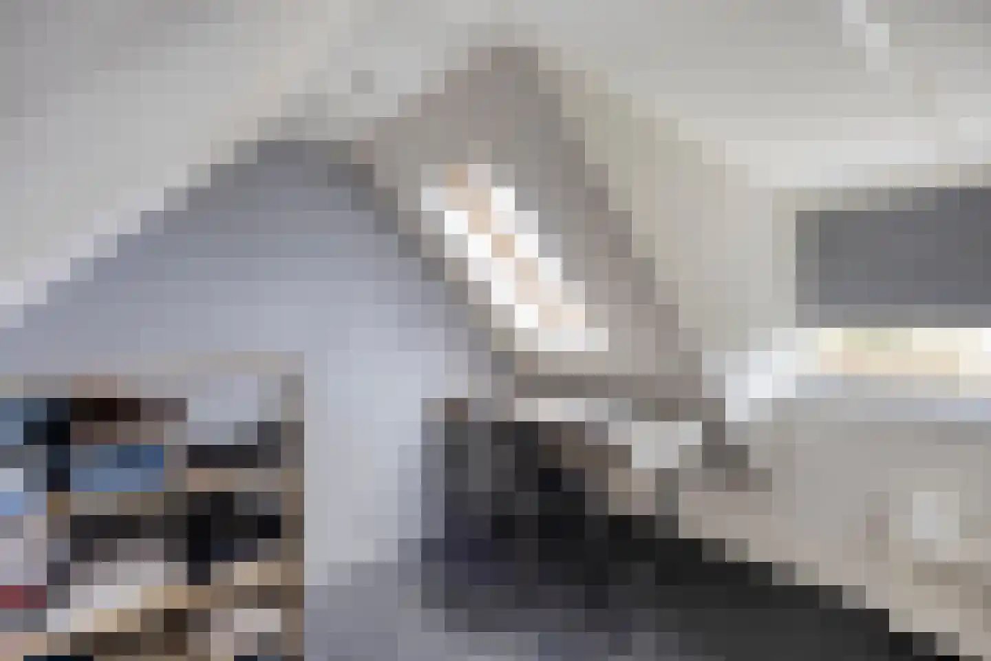 Wester Es 11 Appelscha thumbnail 32