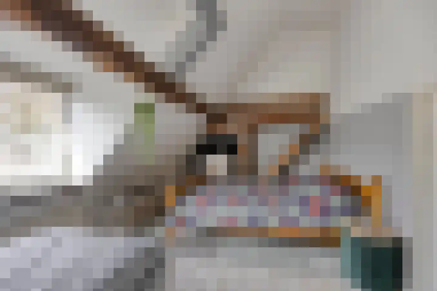 Wester Es 11 Appelscha thumbnail 35