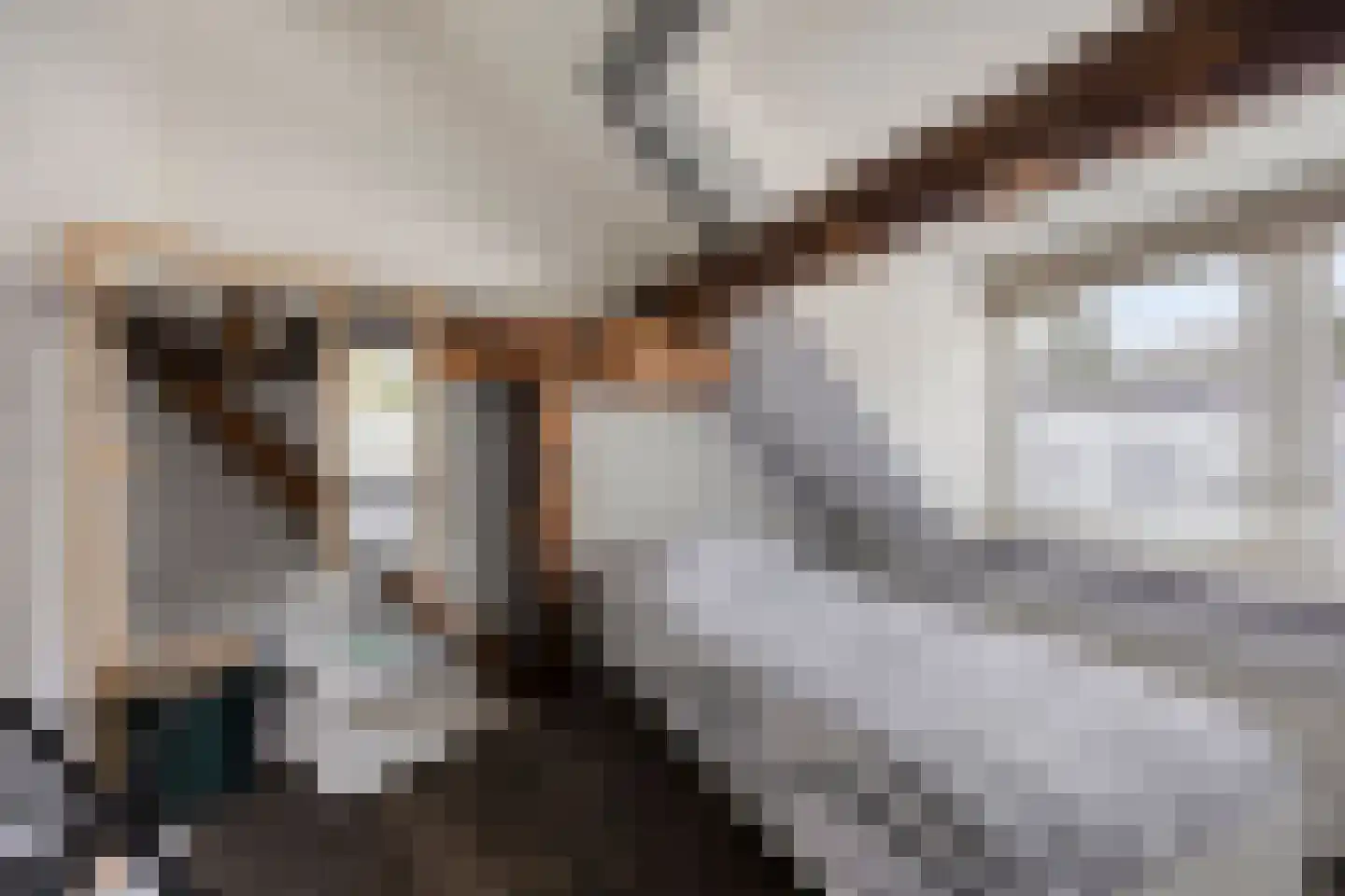 Wester Es 11 Appelscha thumbnail 36